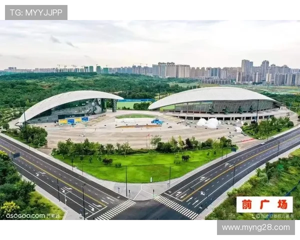 非冠杯决赛场地争议解决 中立场地保障赛事安全